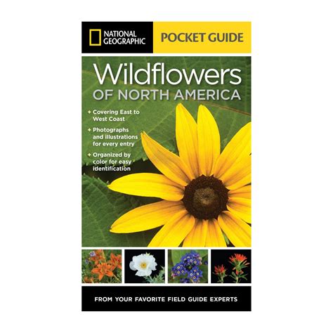 National Geographic Pocket Guide To Wildflowers Of North America