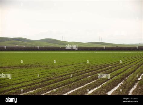 california central valley agriculture  res stock photography