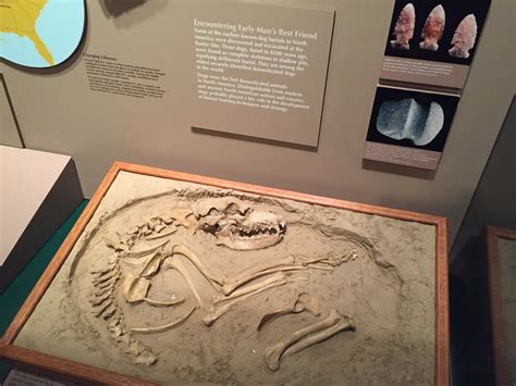 Abraham... - Abraham Lincoln Presidential Library & Museum