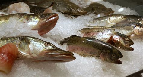 Berlin Tauentzienstraße Kadewe Feinkostabteilung Fische Food Hall