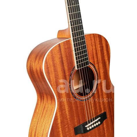 Гитара акустическая Omni F-250M — купить в Красноярске. Состояние ...