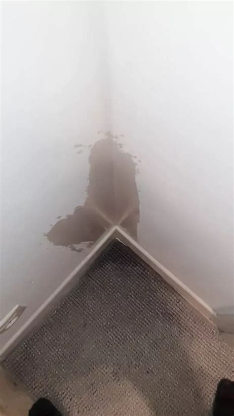 Another Piss In The Corner Gay Big Cock Amateur Porn XHamster