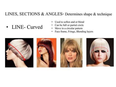 Milady Chapter Haircutting Ppt