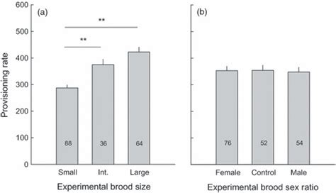 Effect Of The Brood Size Small Intermediate Large A And Brood Sex