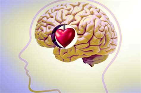 Diferencia entre Emoción y Sentimiento Temas de Psicología