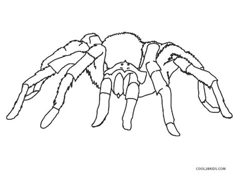 Malvorlagen Spinne - Ausmalbilder Spinne - Malvorlagen kostenlos zum ausdrucken