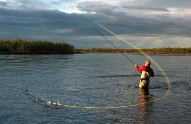 Нахлыст. Шнур. Бэкинг.