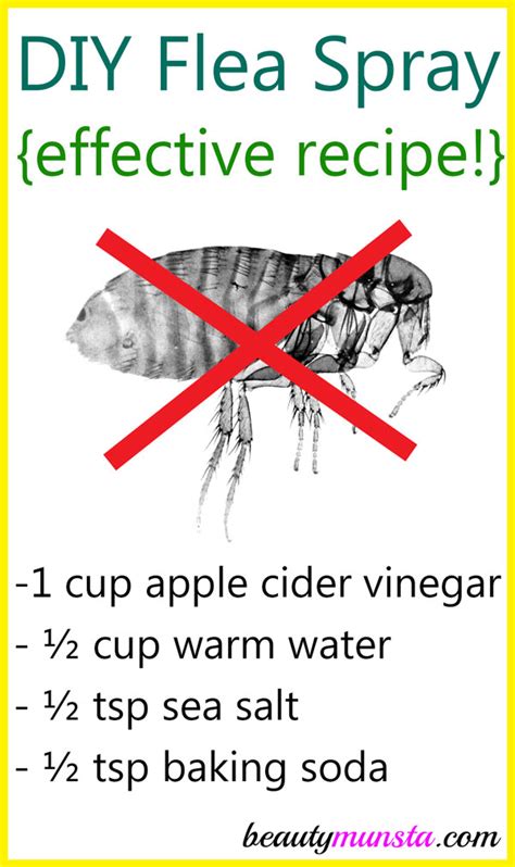 Homemade Flea Spray With Vinegar And Baking Soda Beautymunsta Free