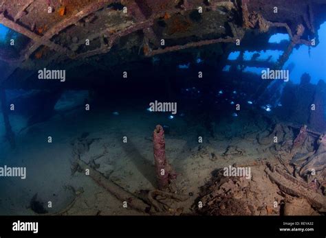 Hms Maori Wreck In Malta Stock Photo Alamy