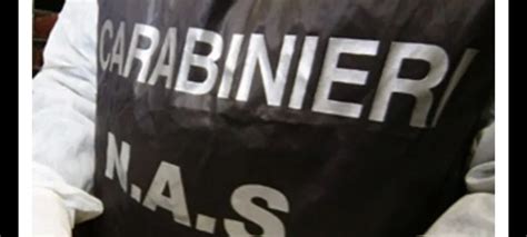 Ispezione Dei Nas Nelle Mense Scolastiche A Latina Irregolari Denunce E Sanzioni