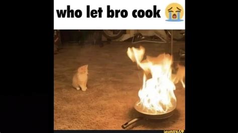 Holluplet Him Cook Youtube