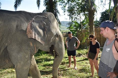 LANTA ELEPHANT SANCTUARY (2025) All You Should Know BEFORE You Go (w ...