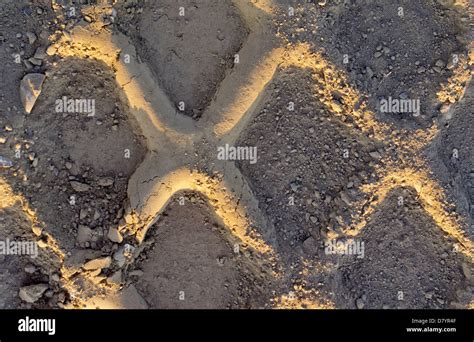 Truck Tire Tracks On Dried Mud In Late Afternoon Stock Photo Alamy