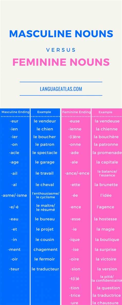 The Gender Of French Nouns By Endings Infographic Language Atlas