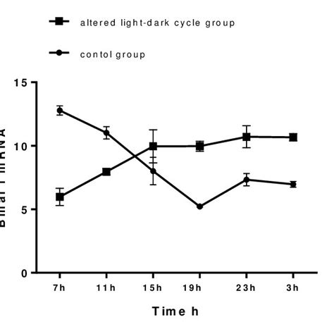 Daily Profile Of Bmal 1 Gene Expression Of Rats Kept Under Altered