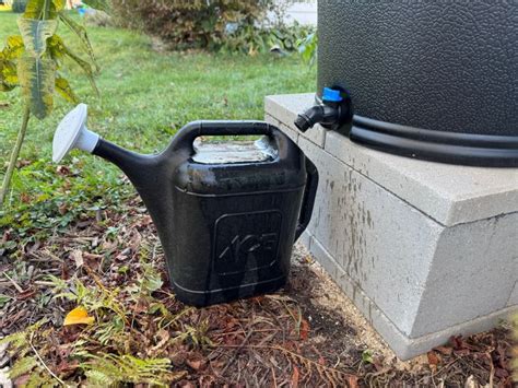 Setting Up A Rain Barrel Rain Barrel Rain Barrel System Front Yard