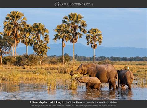 Malawi National Parks & Game Reserves (A-Z List)