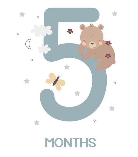 5 Meses Imagens – Download Grátis no Freepik
