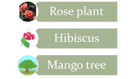 Science: Examples of woody stem plants