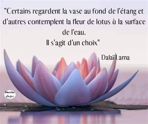 Épinglé par Bruyère sur Textes en 2024 Citation fleur de lotus Fleur