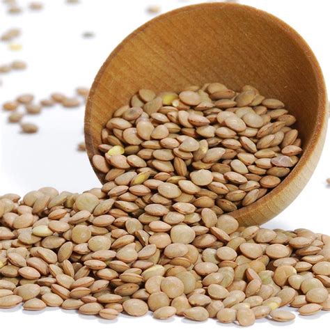 Lentils - Brown, Dry by Gourmet Imports from USA - buy Vegetables and