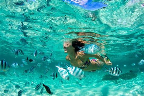 Phuket Coral Island Private Snorkeling Adventure All Inclusive Pelago