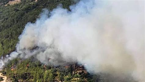 Antalya N N Alanya Il Esinde Orman Yang N Ev Tahliye Edildi