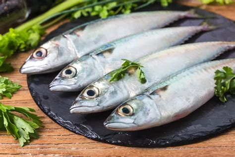 Kandungan Gizi Ikan Kembung Ternyata Setara Ikan Salmon Jangan Salah