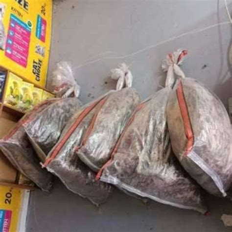 Jual JANGKRIK PAKAN BURUNG IKAN DLL 1KARUNG Shopee Indonesia