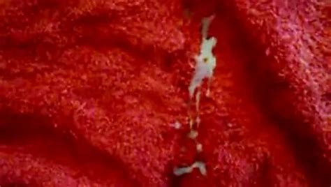 Er Wird Steif Free Solo Man Porn C XHamster