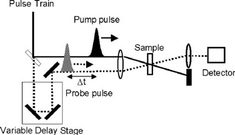 The Schematic Of Transmission Fs Pump Probe Measurement The Fs Optical