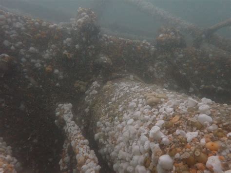 Listcrawler Norfolk: A Norfolk Expert's Deep Dive Image 11