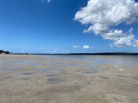 Tin Can Bay Cooloola Coast Qld Dine Live Travel