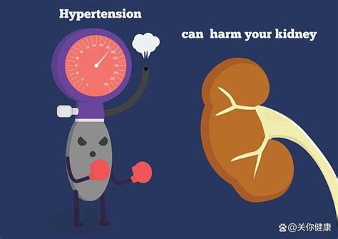 高血压肾病的诊断标准有哪些？快来了解下 资讯频道 东方养生