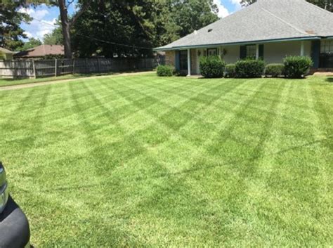 Personalized Lawn Lawn Care Services In Walker La
