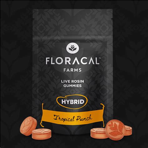 Tropical Punch Hybrid Live Rosin Gummies 100mg 10pk Floracal Farms