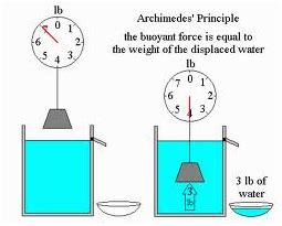 Buoyancy Demonstration - Lab