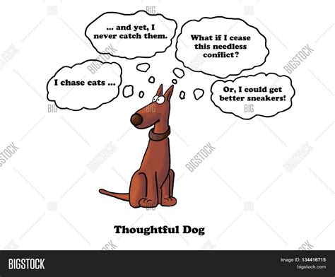 What Are Dogs Thinking