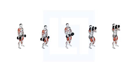 Dumbbell Incline Curl - Guide, Benefits, and Form