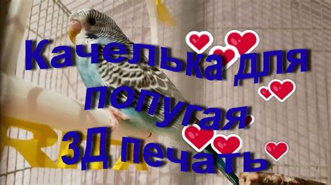 Качелька для попугая Риты на 3Д принтере - YouTube