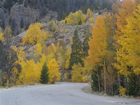 colorado mountain land specialist colorado mountain land