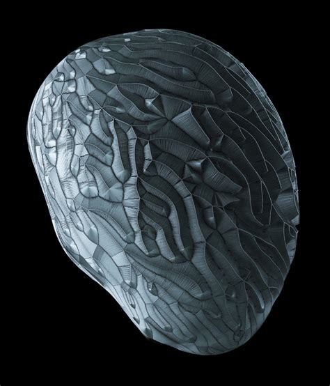 Fabrics 2.0 info | softbiome 