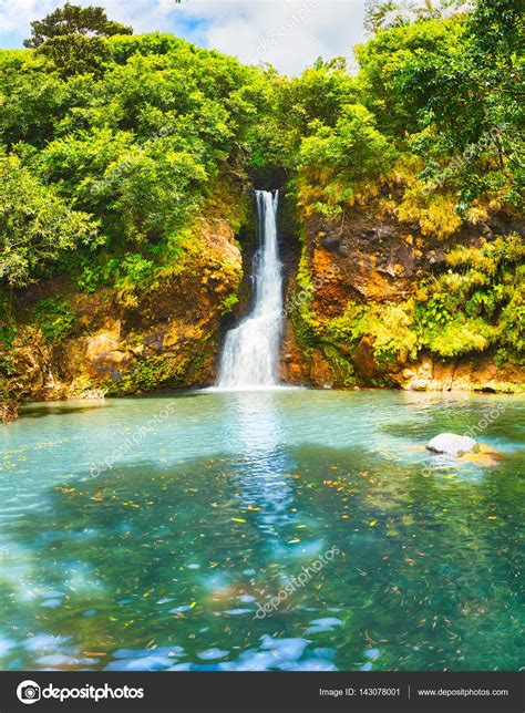 Cascade Chamouze Waterfall Mauritius Stock Photo By ©goodolga 143078001