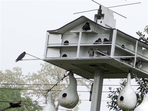 Martin & castille obituaries help neighbors remember those who shaped the town 11