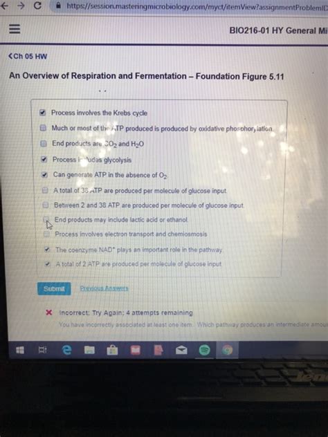 Solved Https Session Masterin Microbiology Myct Item Chegg