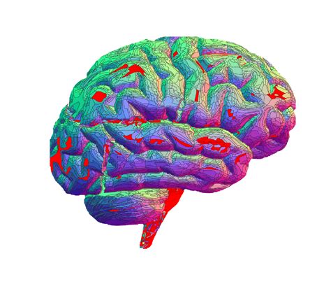 Brain Animation Clipart Best