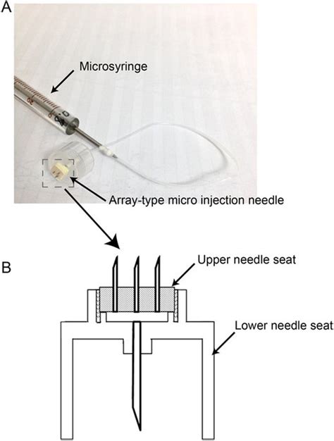 The Image Of Injectable Microneedle Device A It Consists Of A