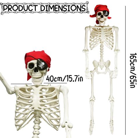 5 4ft Skeleton Halloween Decoration 65inch 165cm Life Size Posable