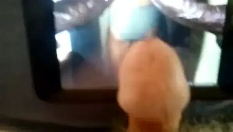 Fucking Shelly Free Solo Man Porn Video XHamster