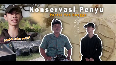 Konservasi Penyu Pantai Yeh Gangga Youtube